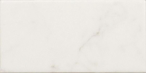 Carrara Gloss 7.5×15