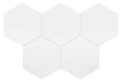 Coimbra White 17.5×20