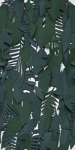 Paper Pro Midori 50x100