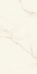Marvel X Calacatta Apuano Matt 60×120