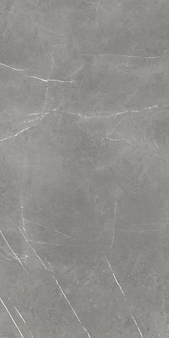 Forte Dei Marmi Elegant Grey Cerato 60×120