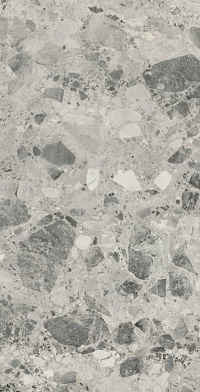 Continuum Stone Grey 80×160