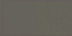 Evolution Gris Oscuro Brillo 7,5х15