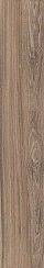 Avana Rett 20x120