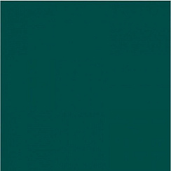 Pixel41 Peacock Mat 11.5x11.5