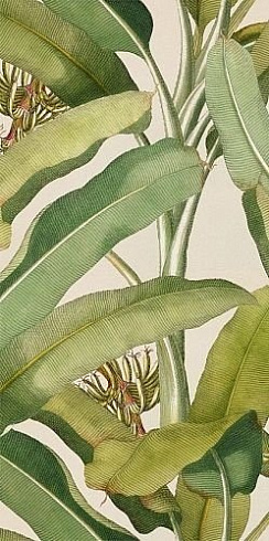 Paper Pro Musa 50x100 (2 паттерна)