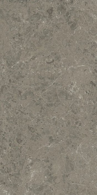 Marvel Meraviglia Grigio Elegante Matte 60×120