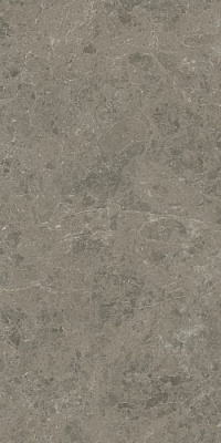 Marvel Meraviglia Grigio Elegante Lapp 60×120