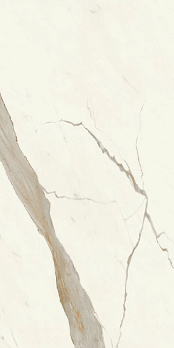 Marvel X Calacatta Sublime Matt 60×120