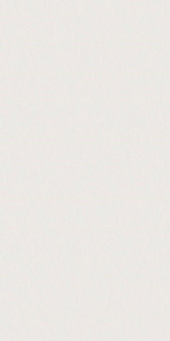 Superclassica SCW Flamed 60×120