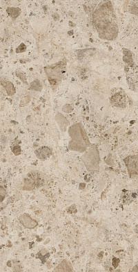 Continuum Stone Beige 80×160