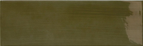 Island Lichen 6.5×20