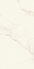 Marvel X Calacatta Apuano 60x120